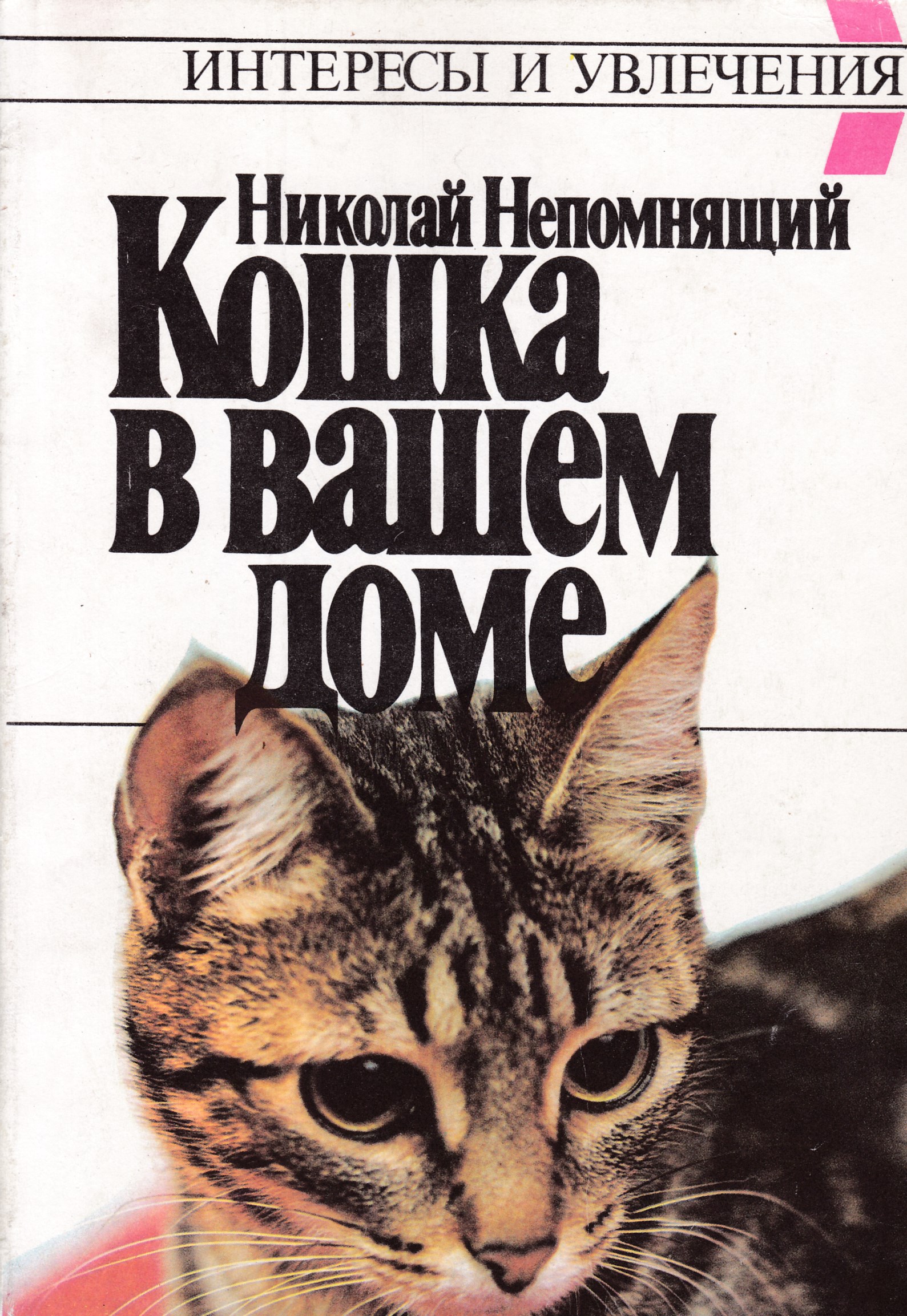 коты в домике. смешные домики. дом вашей кошки. дом вашей кошки. большие домики для кошек.