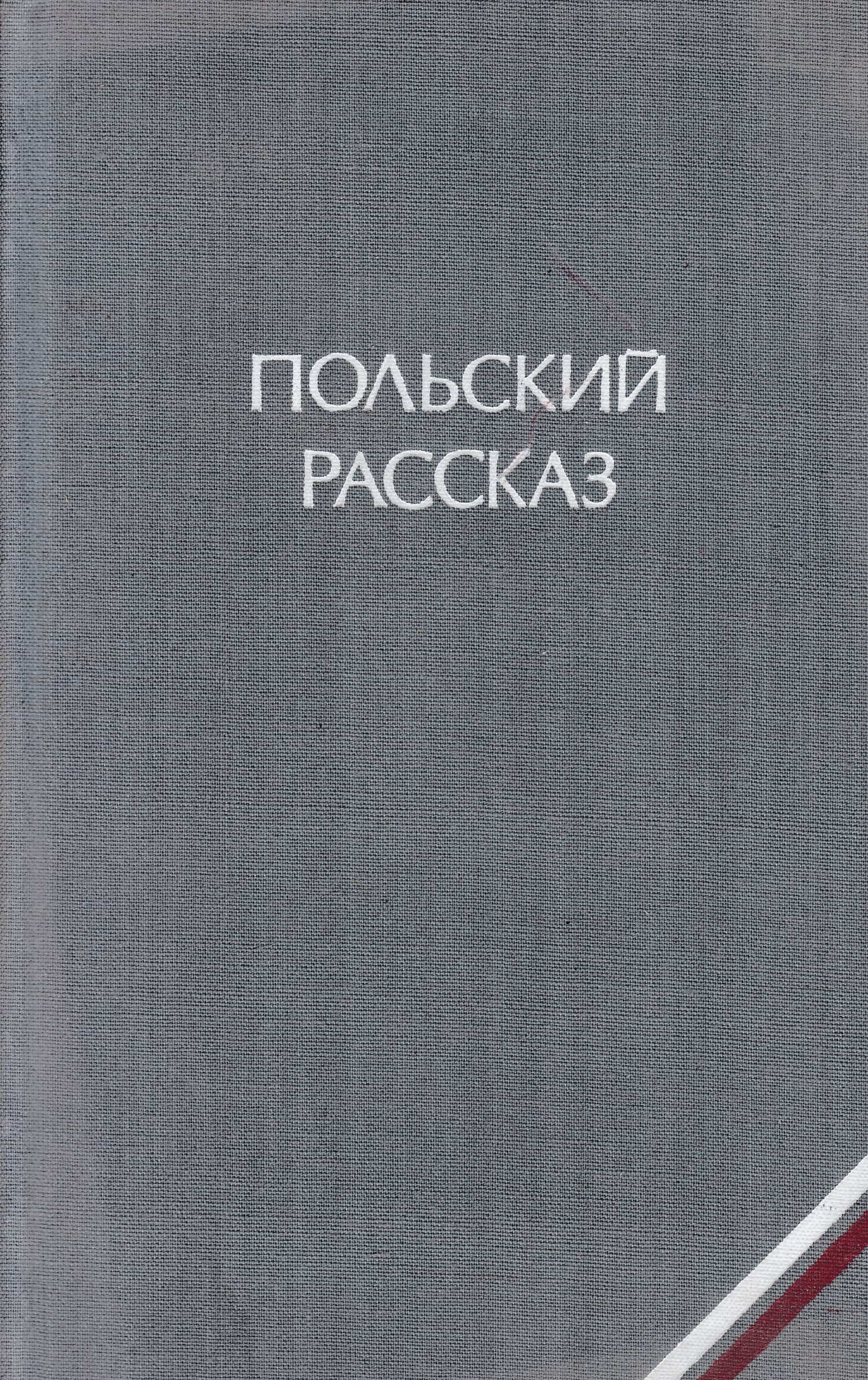 Пол рассказа. Рассказы польских писателей. Рассказы польских писателей современные. Читать онлайн польскую книгу. Истории на пол страницы.